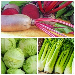 الخضروات لزراعة المحاصيل - مجموعة لا. 7 - بذور 3 أنواع -  - ابذرة