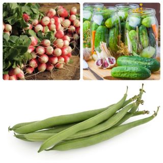 Grönsaker för samkörning - Set nr. 9 - frön av 3 arter - 