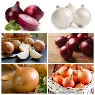 Onion - set of seeds of 6 vegetable plants' varieties