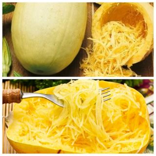 Spaghetti squash - uppsättning frön av 2 vegetabiliska växter "sorter - 
