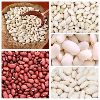 Field bean - set of seeds of 5 vegetable plants' varieties