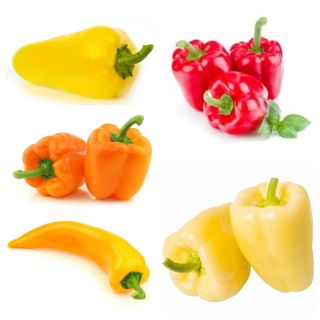 Sød peber - Sæt 2 - Sæt frø af 5 vegetabilske planter 'sorter - 