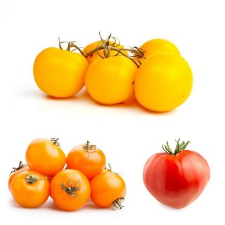 Ψηλή ντομάτα - Σετ 2 - σπόροι από 3 φυτικές ποικιλίες φυτών - 