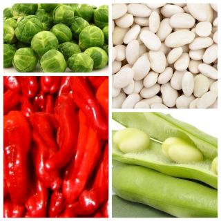سبزیجات افزایش دهنده متابولیسم - دانه های 4 گونه گیاهی سبزیجات - 