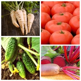 Grønnsaker som avgifter kroppen - sett av frø av 4 vegetabilske plantearter - 