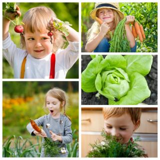 Happy Garden - sett av frø av 5 vegetabilske planter 'arter som er egnet for barn - 