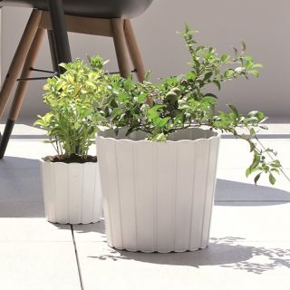 「Boardee Basic」丸型植木鉢-14.4 cm-白 - 