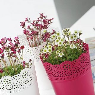 Round flower pot with lace - 18 cm - Lace - White