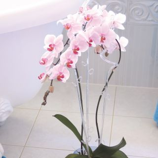Pyöreä orkidea-kukkaruukku - Coubi DUOW - 13 cm - sininen - 