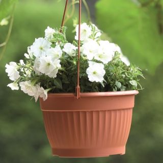 Pot bunga tergantung - Terra - 26 cm - Terracotta - 