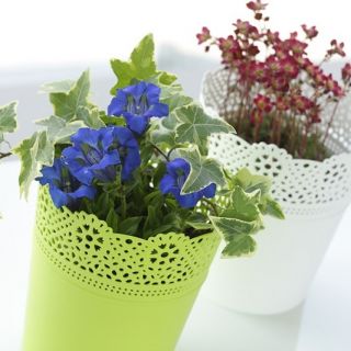 Round flower pot with lace - 13,5 cm - Lace - Lime