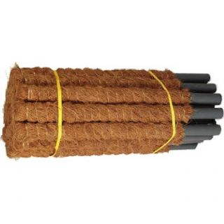 Coconut plant support stake - 25 mm / 40 cm