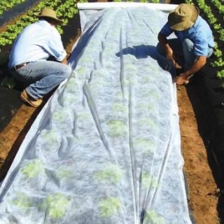 Velo de primavera (agrotêxtil) - proteção de plantas para culturas saudáveis - 3,20 mx 20,00 m - 