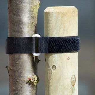 Дерево галстук / тесьма 40 х 2,5 см - 2 штуки - 