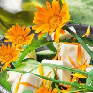 Edible Flowers - Pot marigold - orange; ruddles, marigold biasa, Scotch marigold - benih