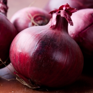 Onion "Braunschweiger Dunkelblutrote" - 750 seeds