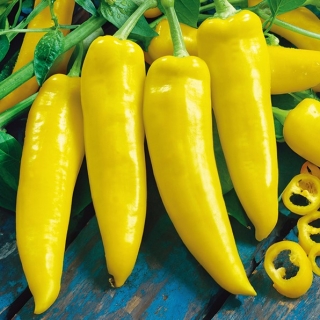 Paprikaslekten - Hungarian yellow wax hot - 70 frø - Capsicum L.