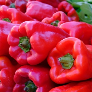 Pepper "Balladyna" - giống đỏ, đa dạng cho lĩnh vực trồng trọt và trồng trọt - Capsicum L. - hạt