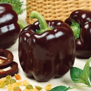Paprika "Ingrid" - tamno smeđa sorta koja proizvodi velike plodove - Capsicum L. - sjemenke