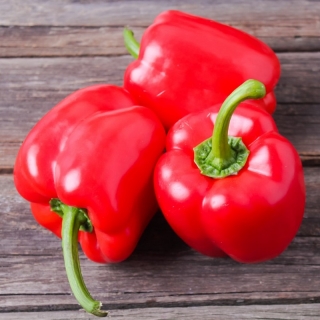 甜椒'Kaskada' - 用于在隧道中种植的红色品种 -  Capsicum annuum - Kaskada - 種子