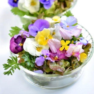 Sort blanding af planter med spiselige blomster -  - frø