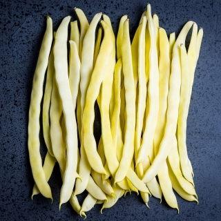 Жовта французька квасоля "Газель" - Phaseolus vulgaris L. - насіння