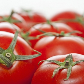 الطماطم "العفريت" - للزراعة تحت الأغطية - بذور متنوعة متميزة للجميع - 10 بذور - Solanum lycopersicum  - ابذرة