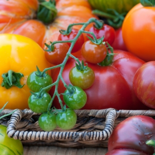 Tomate fantaisie - Set no. 1 - Semences de 8 variétés -  - graines