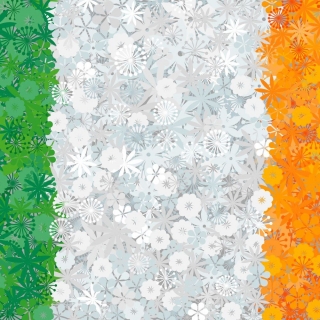 العلم الأيرلندي - بذور 3 أنواع من النباتات المزهرة -  - ابذرة