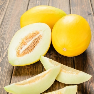 Melon - Oliwin - Cucumis melo L. - frø
