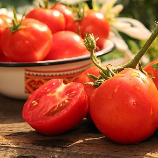 Tomato "Slonka F1" - greenhouse variety