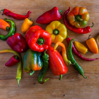Pepper Mix - Set no. 1 - 8 pepper varieties' seeds