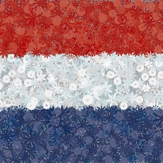 オランダの国旗 -  3開花植物の品種の種 -  - シーズ