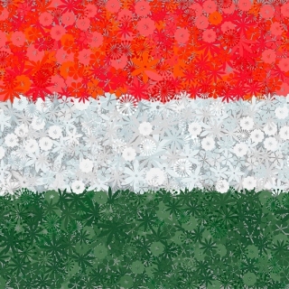 Bendera Hongaria - benih 3 varietas -  - biji