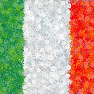 Italian Flag - seeds of 3 flowering plants' varieties