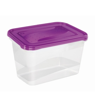 Set of 2 rectangular food containers - Fredo Fresh - 2-litre - dark plum