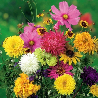 Annual Plants for a Cut Flower mixed seeds - 60 seeds
