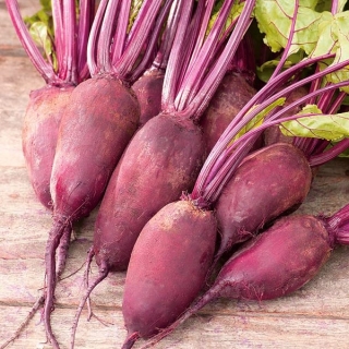 Beetroot "Rival" - 100 g of seeds - 10000 seeds