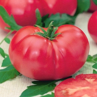 עגבניות "VP1 F1 F1 המלך ורוד" - חממה, מגוון פטל מגוון - 12 זרעים - Lycopersicon esculentum Mill 