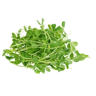 BIO Sprouting seeds - Pea - certified organic seeds