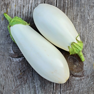 Aubergine - White Egg - 125 graines - Solanum melongena