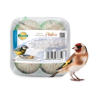 Fourrage pour oiseaux d'hiver - lot de petites boules de fourrage pour mésanges - Planta - 4 pièces - 