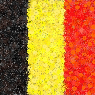 Belgijska zastava - seme treh sort -  - semena