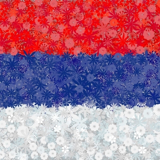 پرچم صربستان - دانه های 3 گونه - 