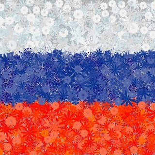 Venäjän lippu - 3 lajikkeen siemeniä -  - siemenet
