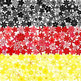 Tysk flag - frø af 3 sorter - 