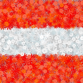 オーストリアの国旗 -  3開花植物種の種 -  - シーズ