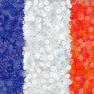 Francúzska vlajka - semená 3 odrôd - 