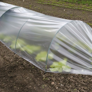 Agriculture tunnel - foil 2 x 5 m