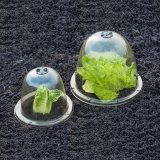 Mini estufa - domo - protege as plantas de geadas repentinas e inesperadas - 33 x 31 cm - 3 peças - 